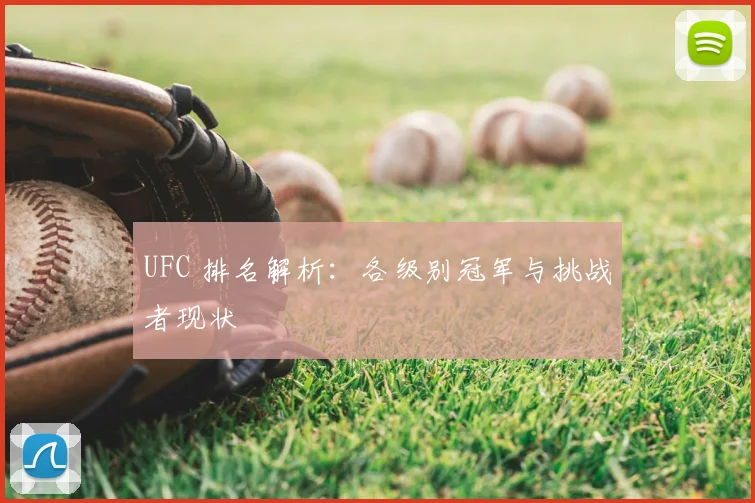 UFC 排名解析：各级别冠军与挑战者现状